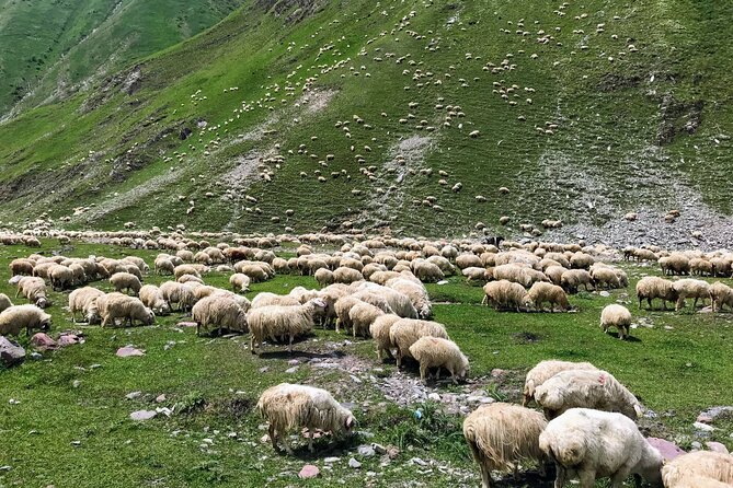 Wild Georgia 4WD PACK Adventure through Kakheti and Kazbegi 2in1 - KTW Factory adds the wine-country finish