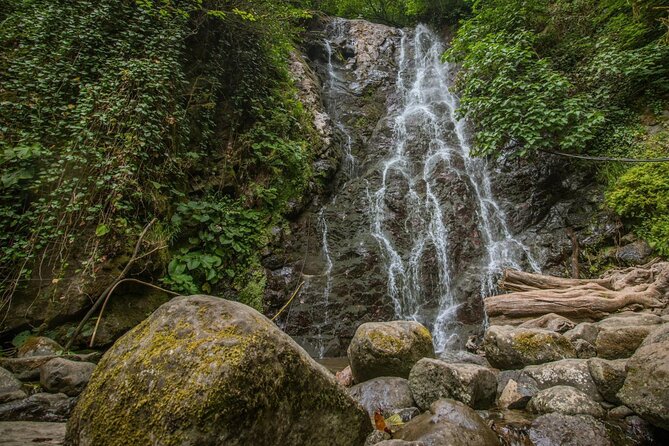 Wine and Dine Tour To Batumi Waterfalls - Mountainous Adjara - Timing, comfort, and group size