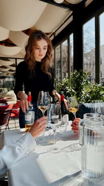 Wine Tasting feel the Difference of Qvevri or Classical Wine - Four Georgian wines, with a possible fifth