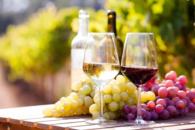 Wine Tasting Tour in Georgia's Cradle of Wine - Why Kakheti makes such a good wine base