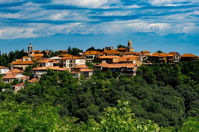 Wine Tour in Kakheti, Telavi town, Georgia - Key points to know before booking